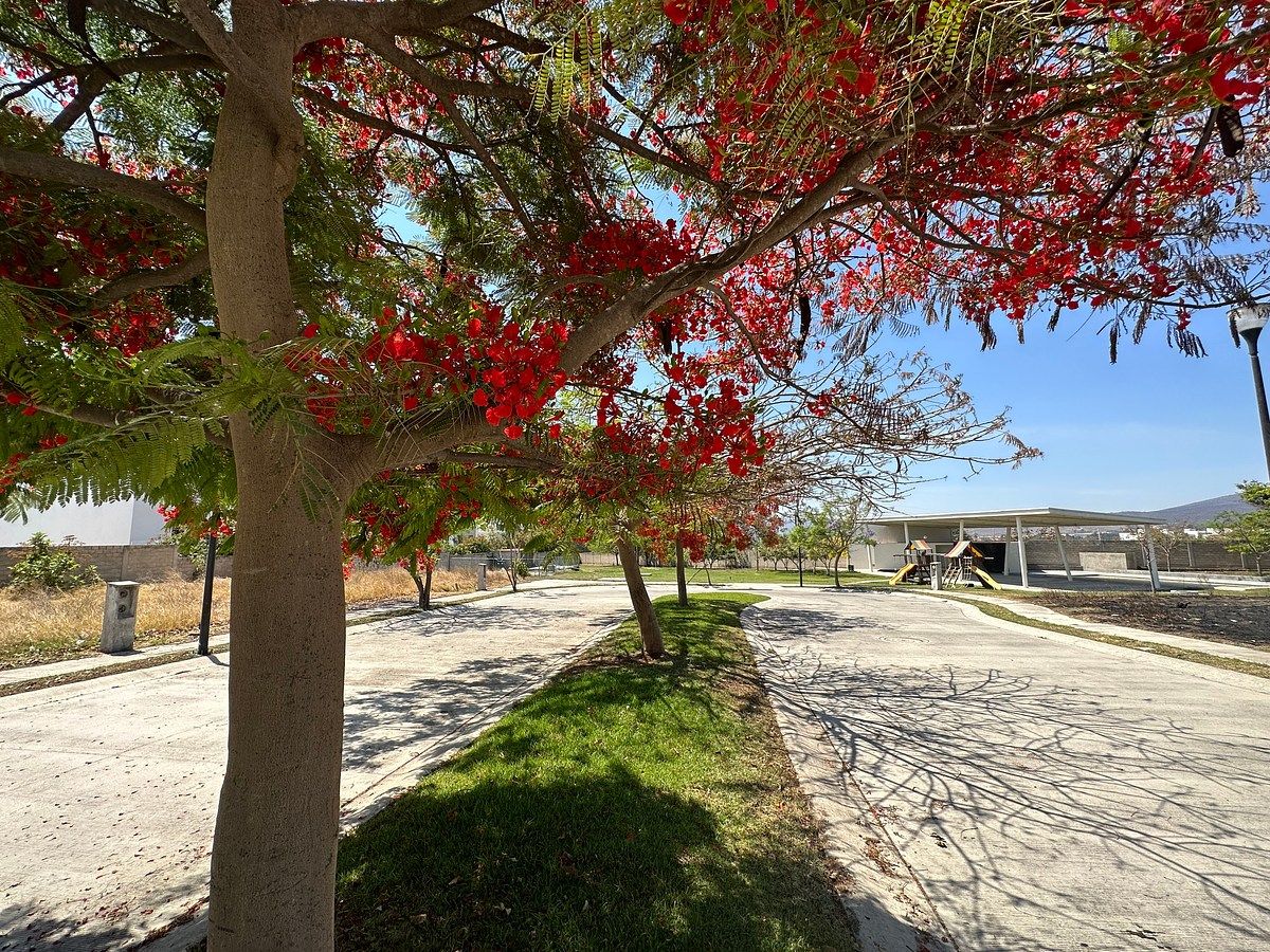 TERRENO EN VENTA EN MILLAN, SANTA ANITA, foto 1 de 14