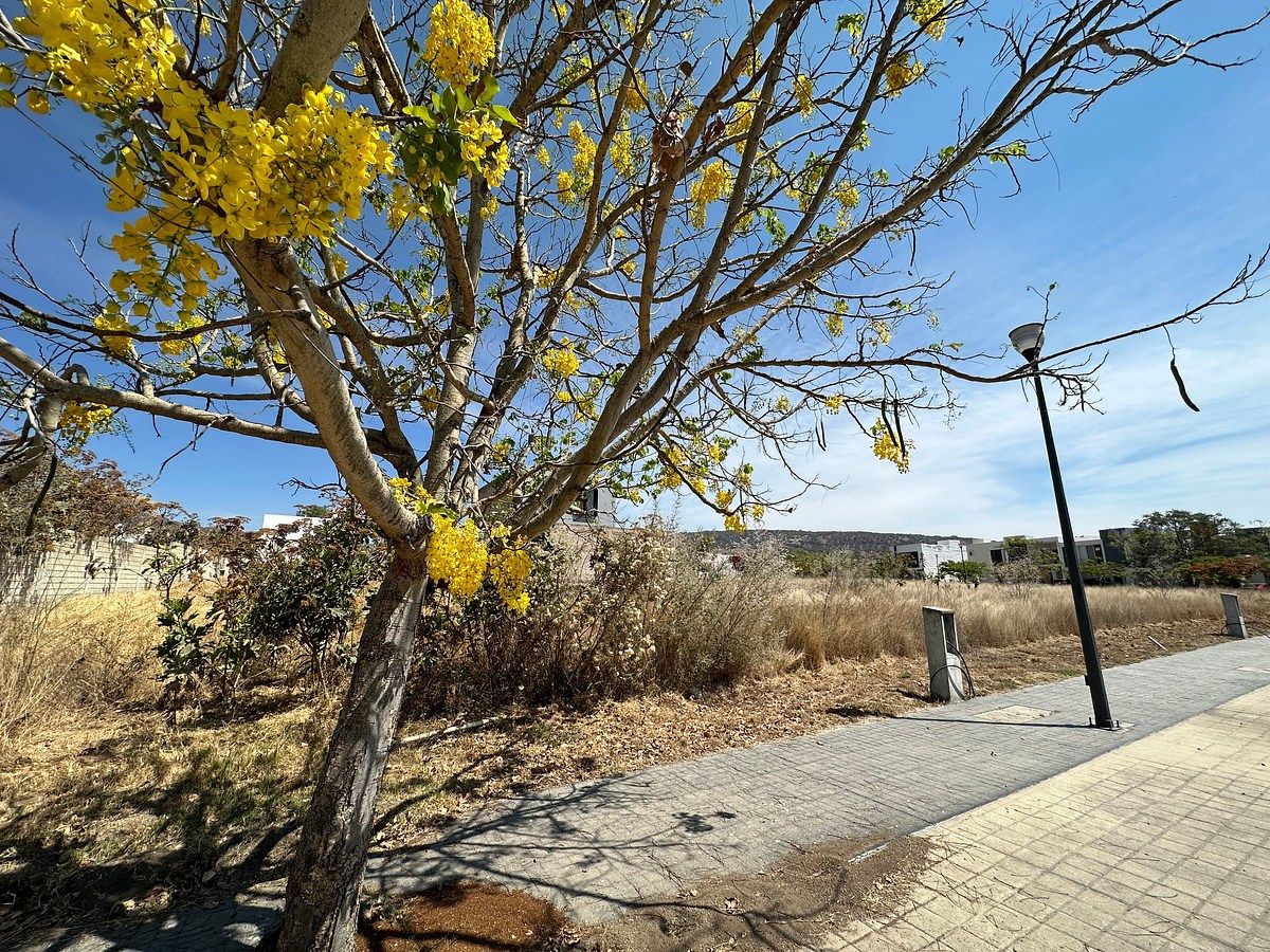 Terreno en Santa Anita, Tlajomulco de Zúñiga, foto 5 de 14