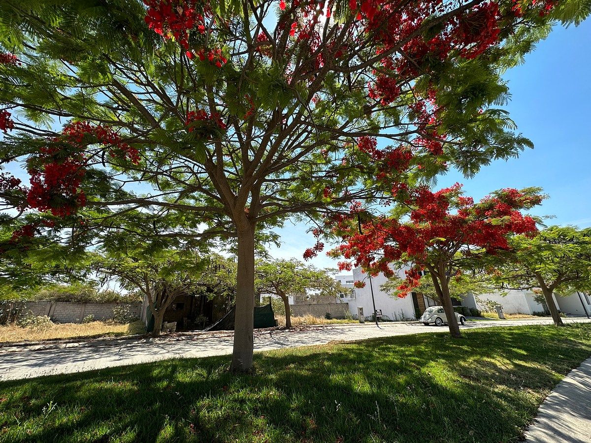 Terreno en Santa Anita, Tlajomulco de Zúñiga, foto 6 de 14
