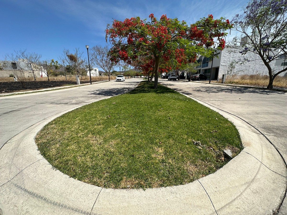 Terreno en Santa Anita, Tlajomulco de Zúñiga, foto 14 de 14