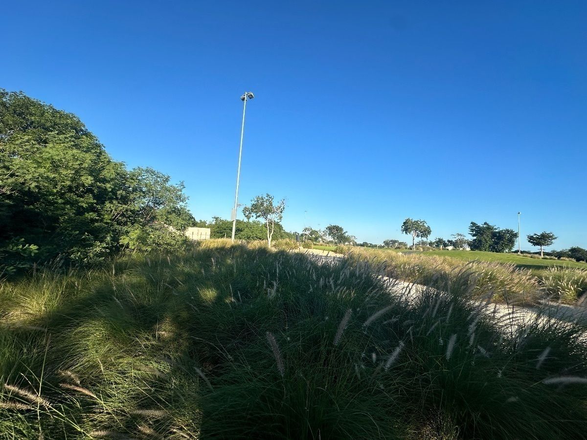 Lote em Komchen, Mérida, foto 7 de 11