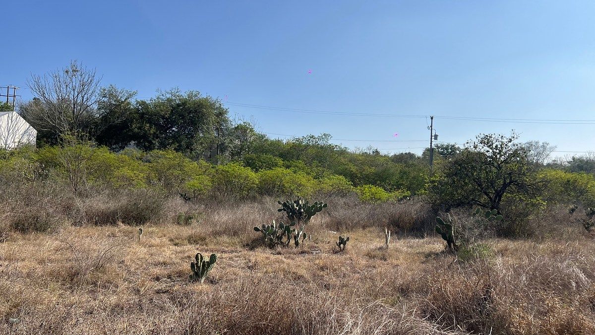 Lot in Congregación Calles, Montemorelos, photo 3 of 9