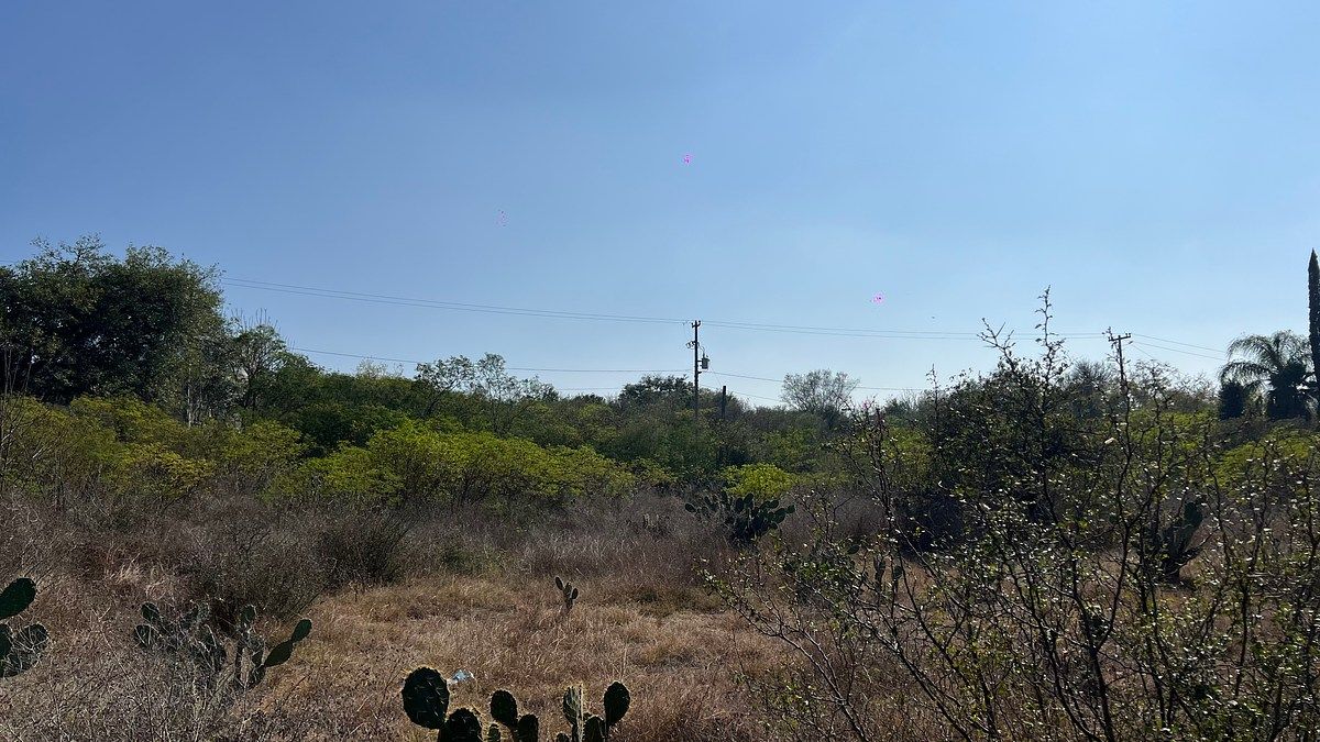 Lot in Congregación Calles, Montemorelos, photo 4 of 9