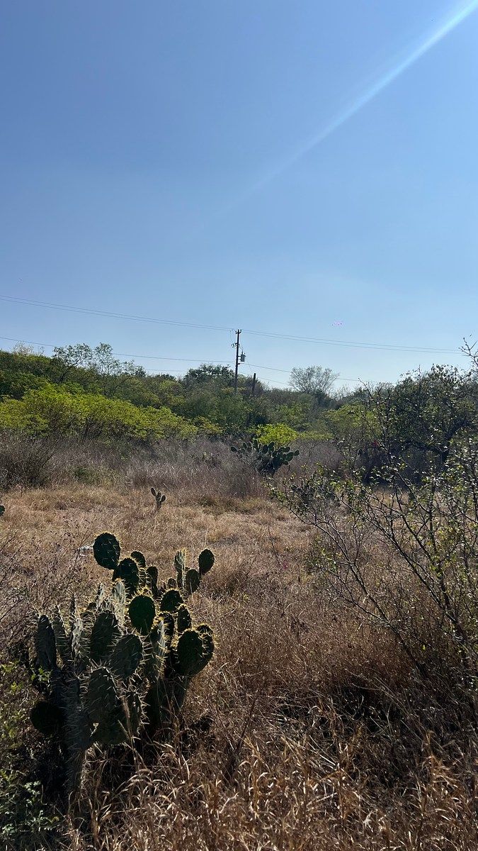 Lot in Congregación Calles, Montemorelos, photo 5 of 9