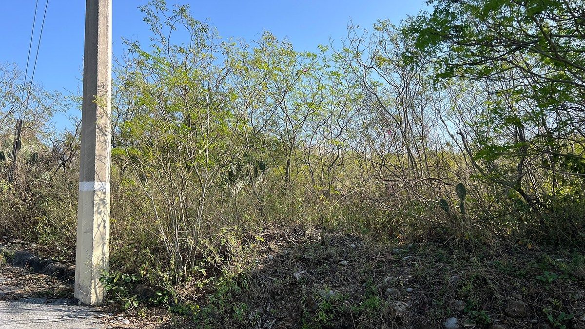 Lot in Congregación Calles, Montemorelos, photo 6 of 9