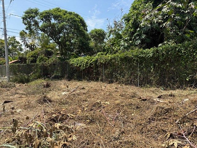 Lot in Ribera del Pilar, Chapala, photo 5 of 14