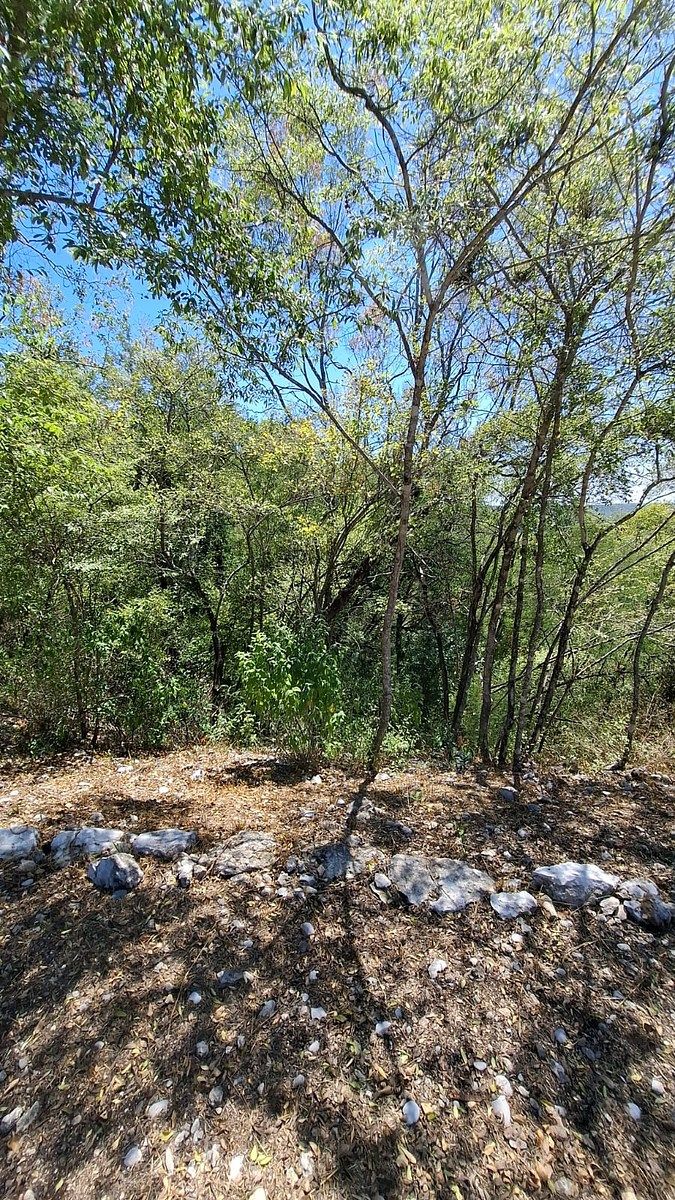 Terreno en Congregación Calles, Montemorelos, foto 5 de 6