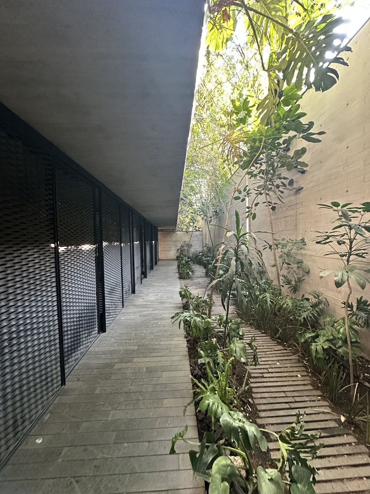 Apartamento em Polanco II Sección, Miguel Hidalgo, foto 24 de 26