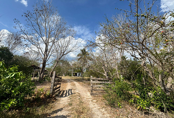 RANCHO AGRICOLA EN VENTA - foto 3
