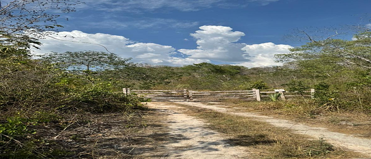 RANCHO AGRICOLA EN VENTA - foto 5
