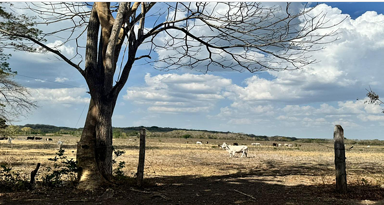 RANCHO AGRICOLA EN VENTA - foto 1