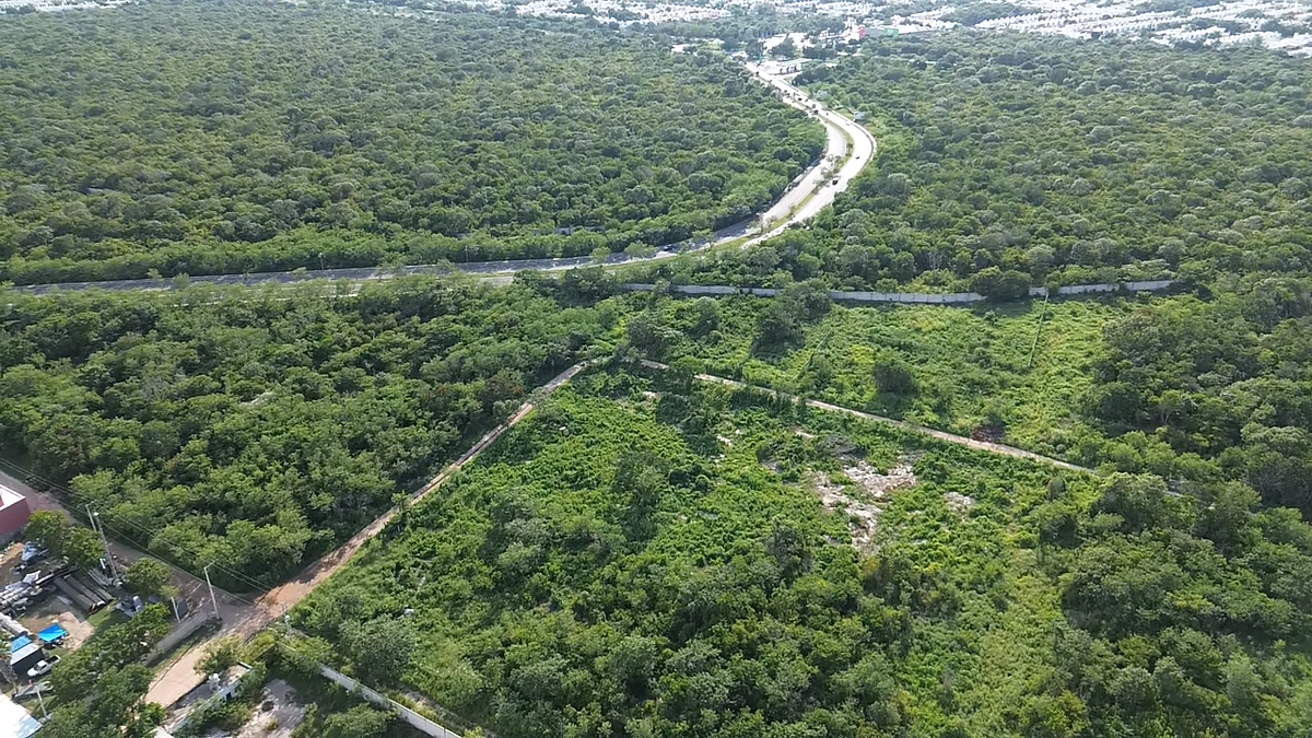 Terreno en San Juan Bautista, Mérida, foto 2 de 7