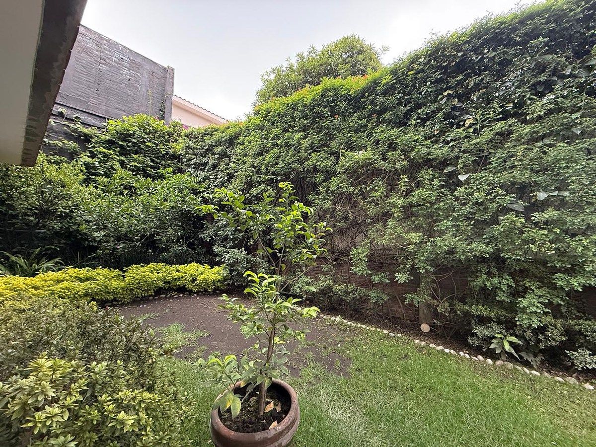 Casa en Lomas de Chapultepec IV Sección, Miguel Hidalgo, foto 17 de 17
