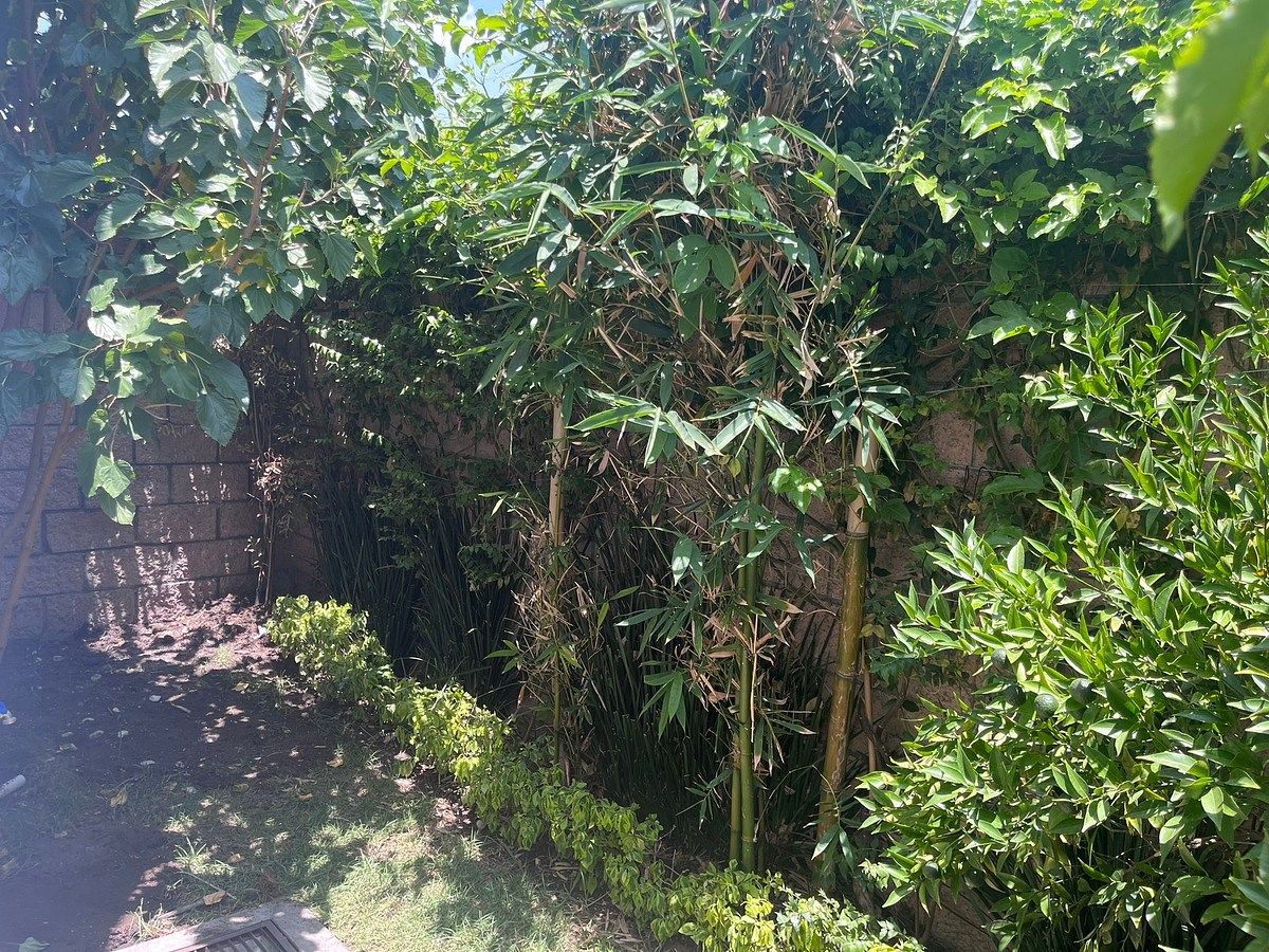 Jardín, foto 16 de 16