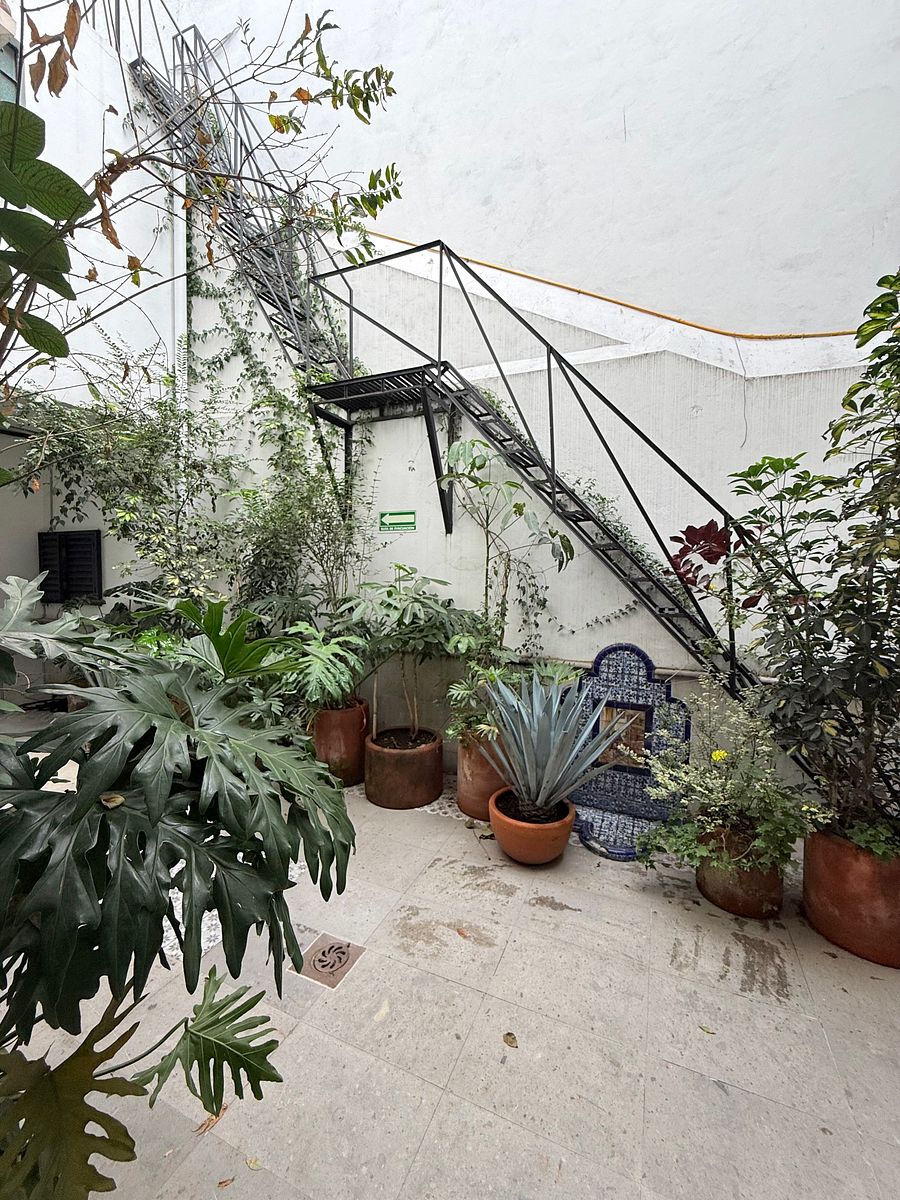 Casa con uso de suelo en Hipódromo Condesa, Cuauhtémoc, foto 11 de 32