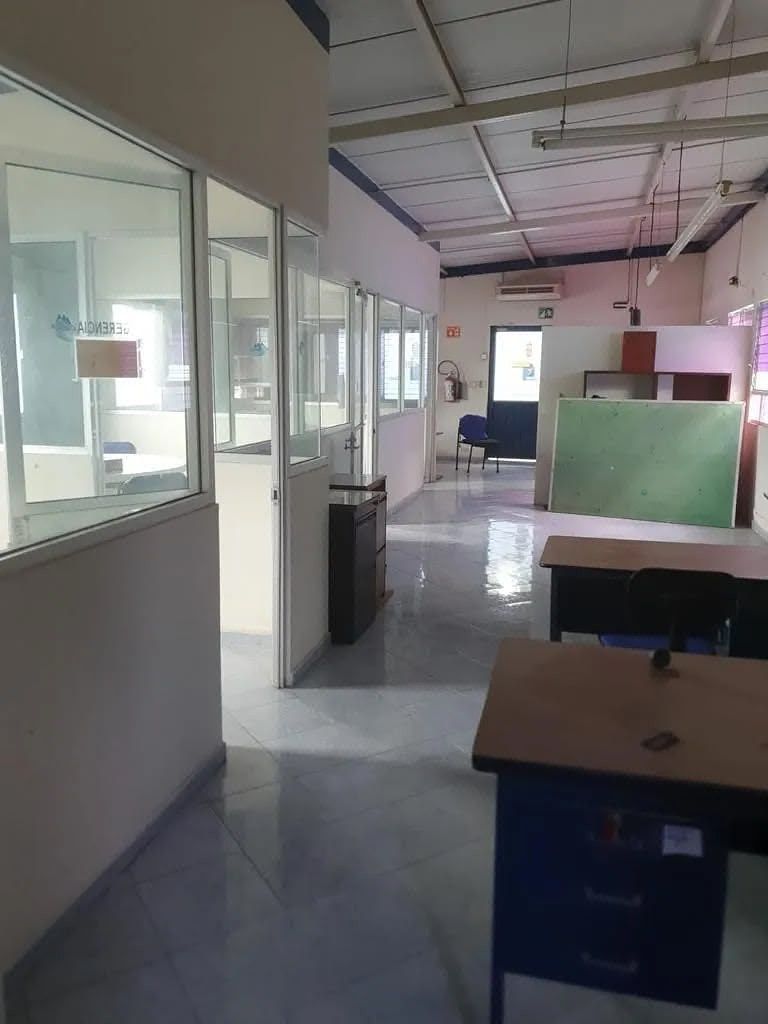 Predio en Venta en Mérida, Colonia Garcia Gineres, Uso Comercial, PARA REMODELAR - foto 4