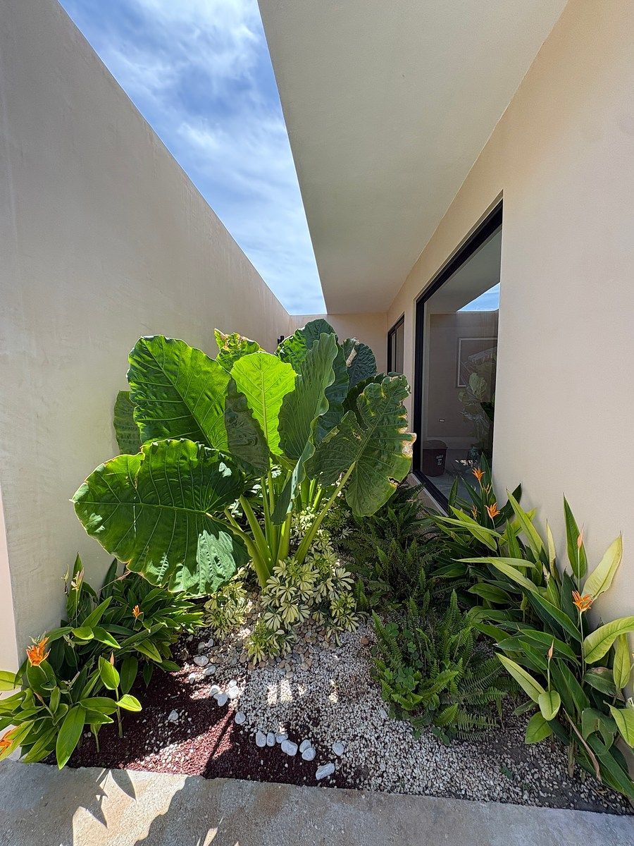 Departamento en Temozón Norte, Mérida, foto 41 de 45
