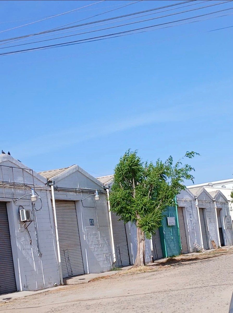 Bodega comercial en Bachigualato, Culiacán, foto 2 de 5