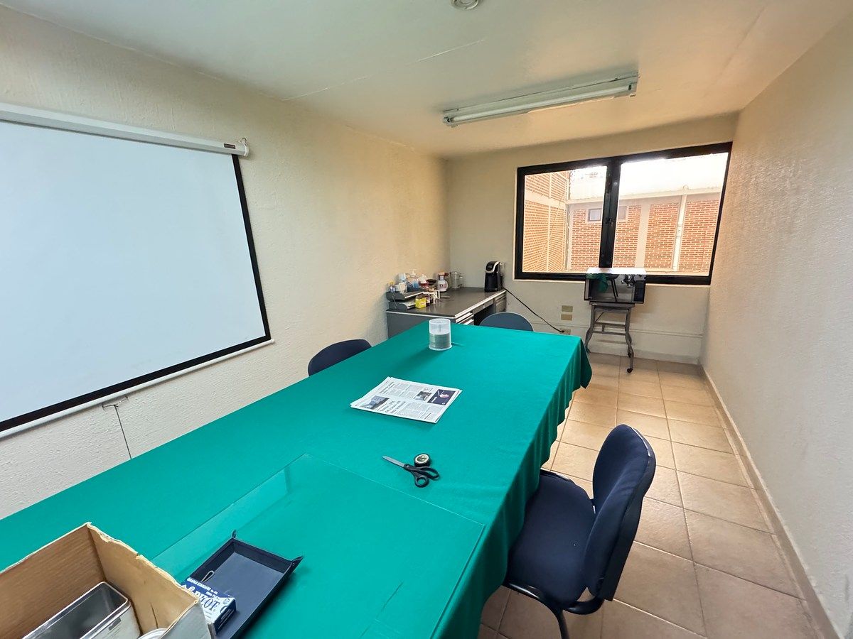 Sala Comercial em Francisco Murguía El Ranchito, Toluca, foto 5 de 17
