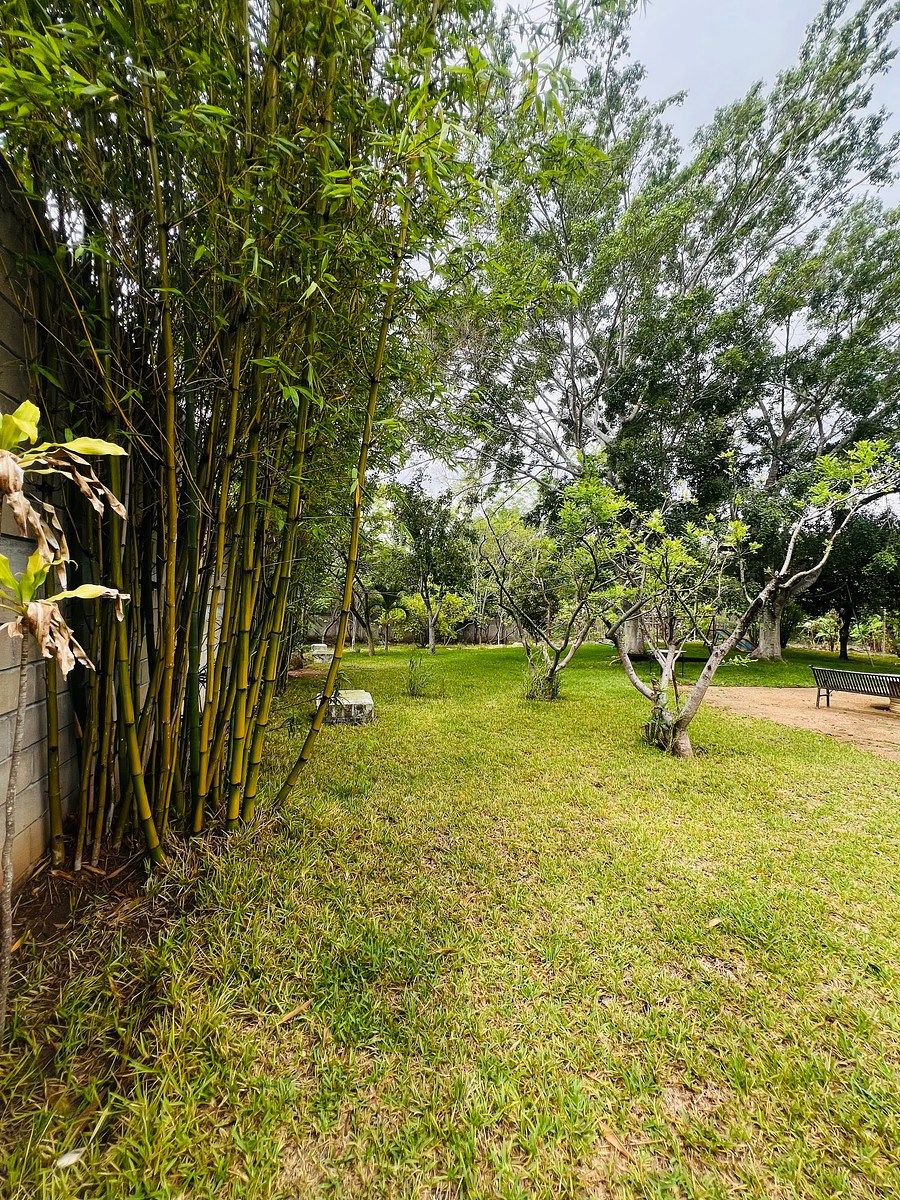 Lote em Los Sabinos, Tuxtla Gutiérrez, foto 3 de 17