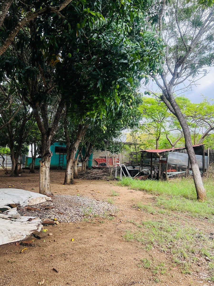 Lote em Los Sabinos, Tuxtla Gutiérrez, foto 7 de 17