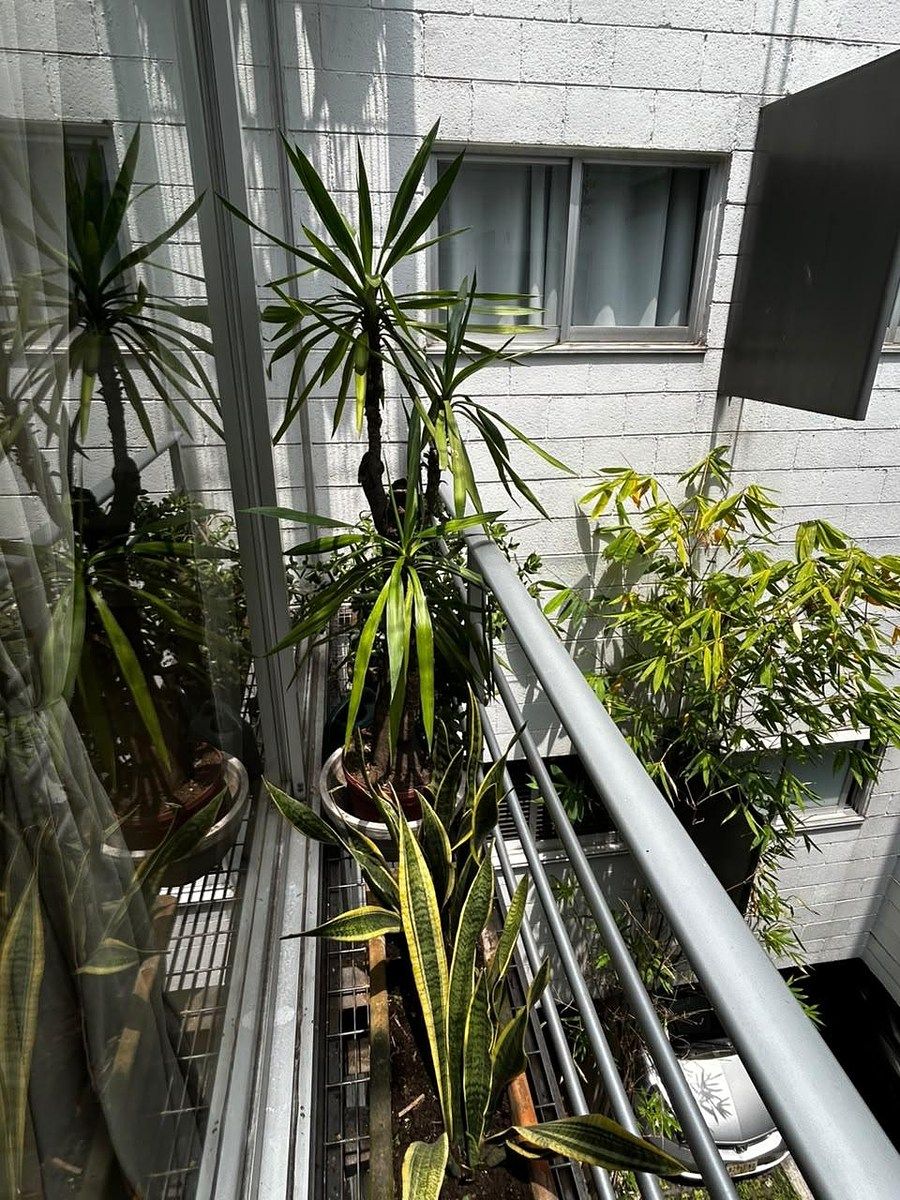 Departamento en Colonia Condesa, Cuauhtémoc, foto 25 de 38