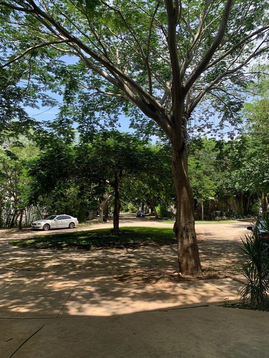 Casa em Cabo Norte, Mérida, foto 24 de 24