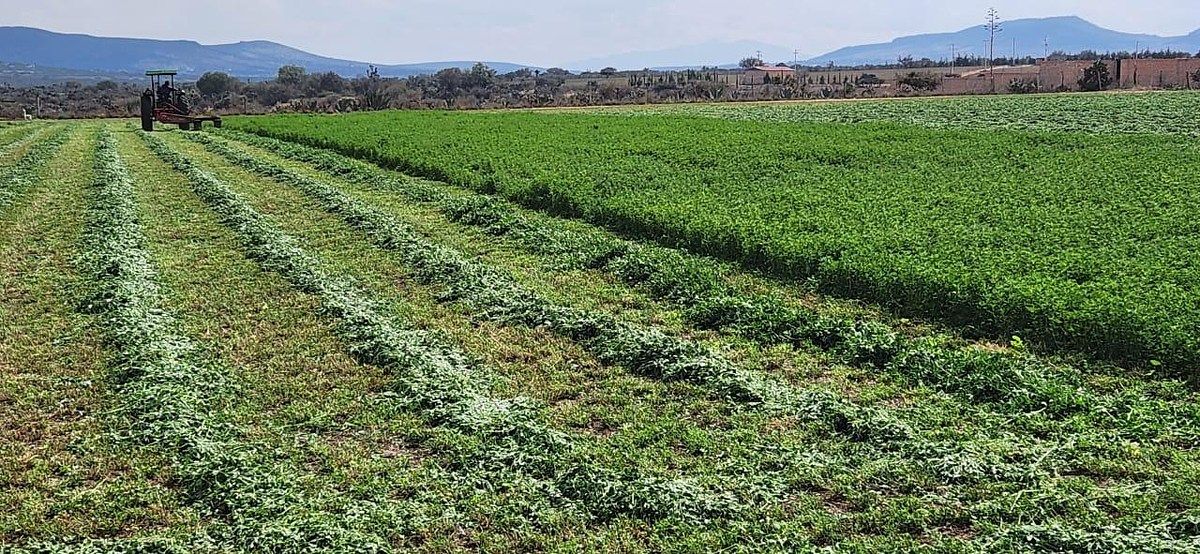 Rancho en Mineral de Pozos, San Luis de la Paz, foto 9 de 19