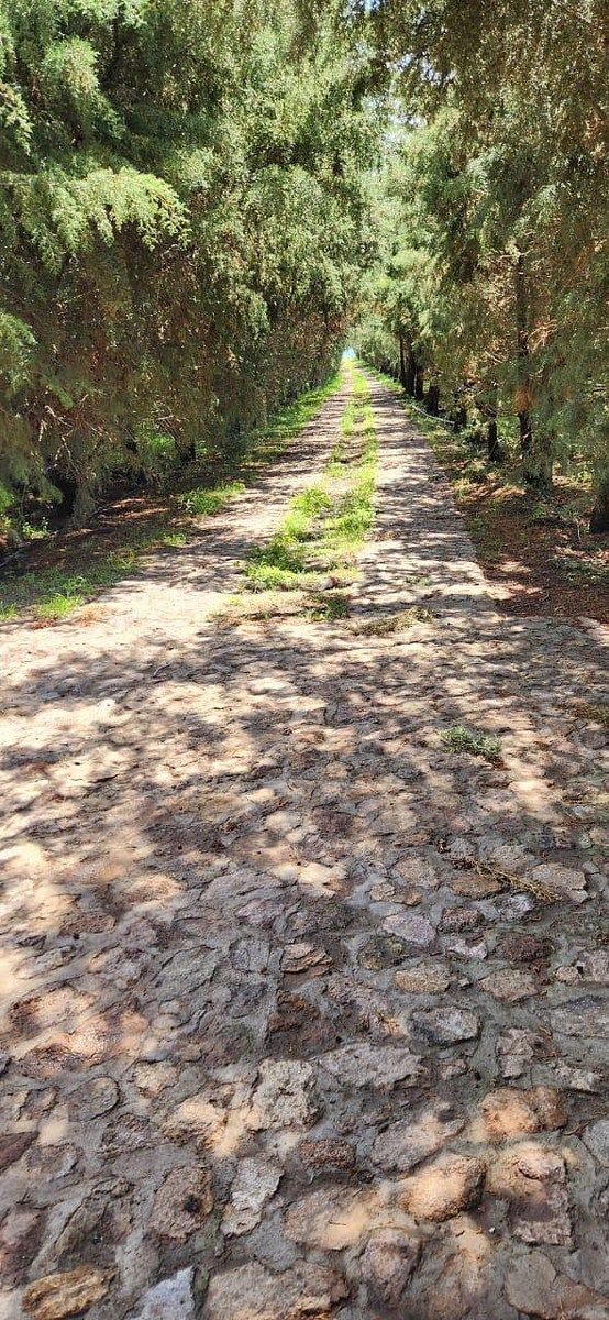 Rancho en Mineral de Pozos, San Luis de la Paz, foto 10 de 19