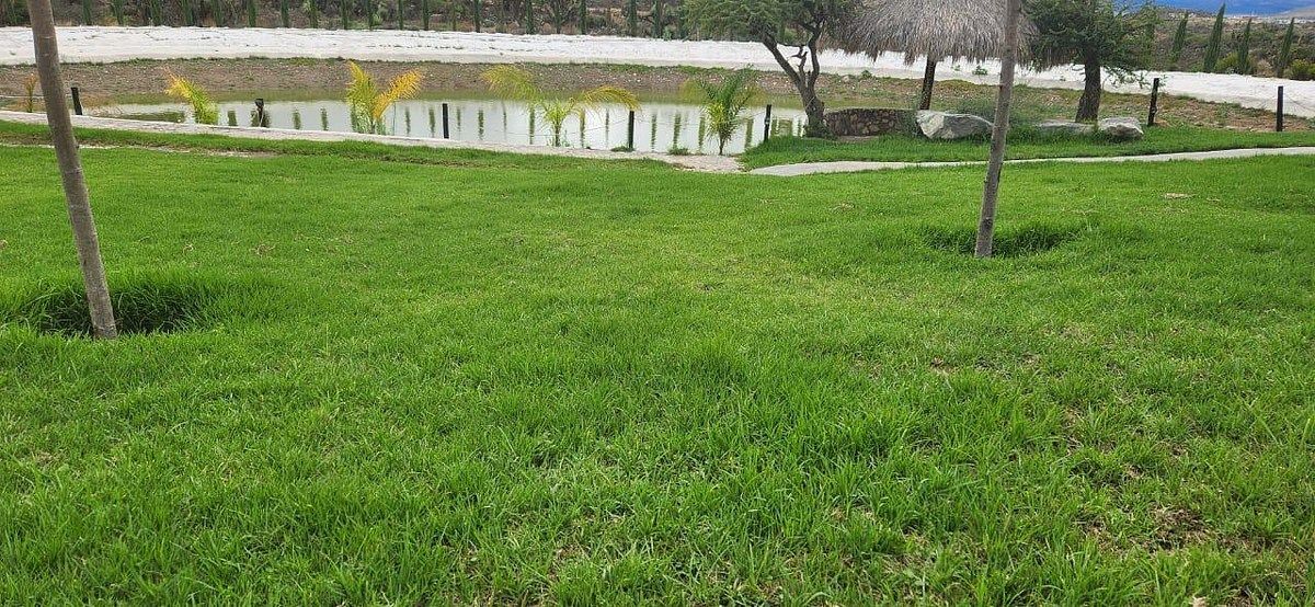 Rancho en Mineral de Pozos, San Luis de la Paz, foto 11 de 19