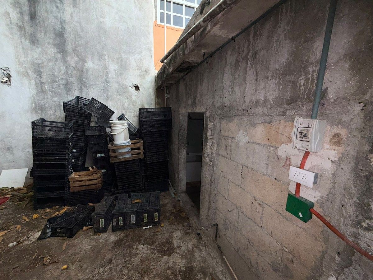 Local comercial en Chicxulub Puerto, Progreso, foto 2 de 19