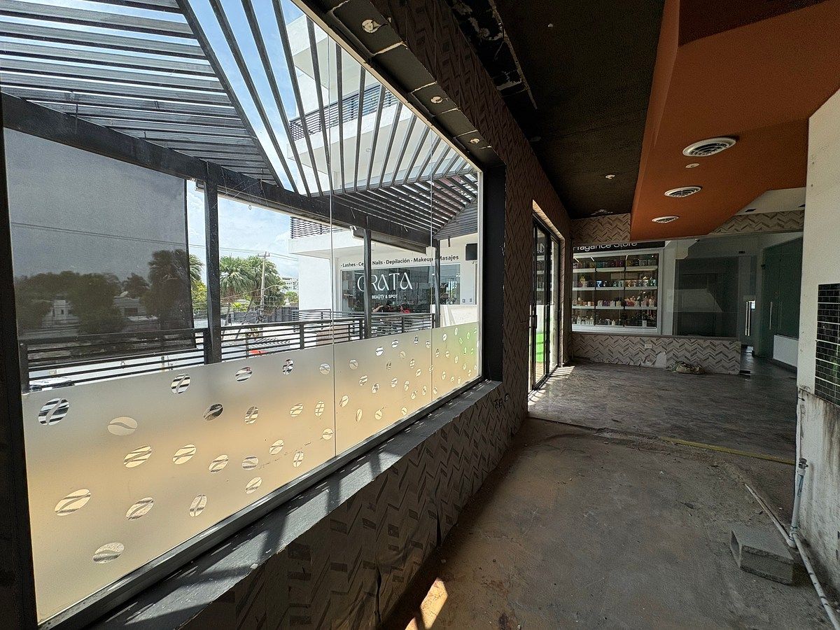 Local Comercial en La Castellana, Santo Domingo Centro (Distrito Nacional), foto 8 de 12