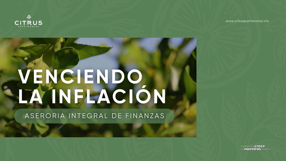 Inversión agrícola en Citrus Patrimonial, Yucatán desde $283,000 MXN - foto 4