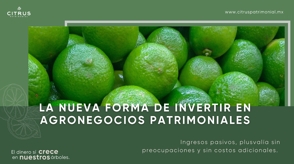 Inversión agrícola en Citrus Patrimonial, Yucatán desde $283,000 MXN - foto 5