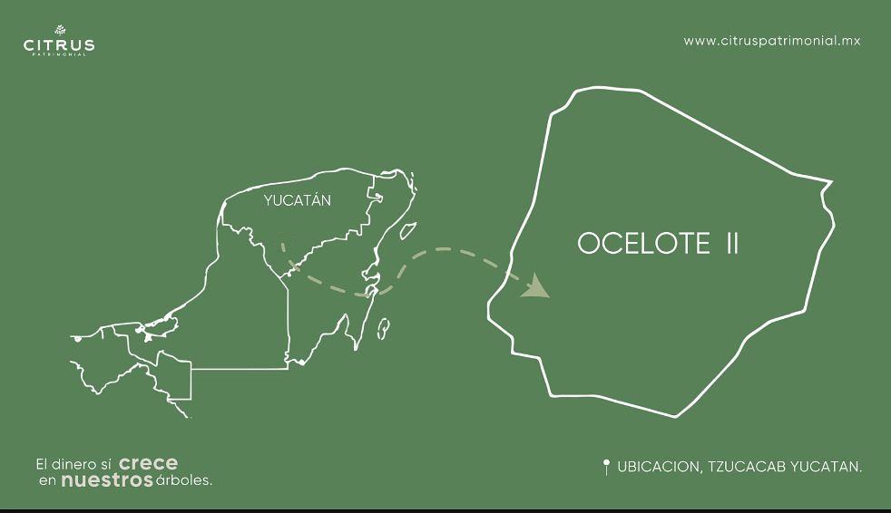Inversión agrícola en Citrus Patrimonial, Yucatán desde $283,000 MXN - foto 2