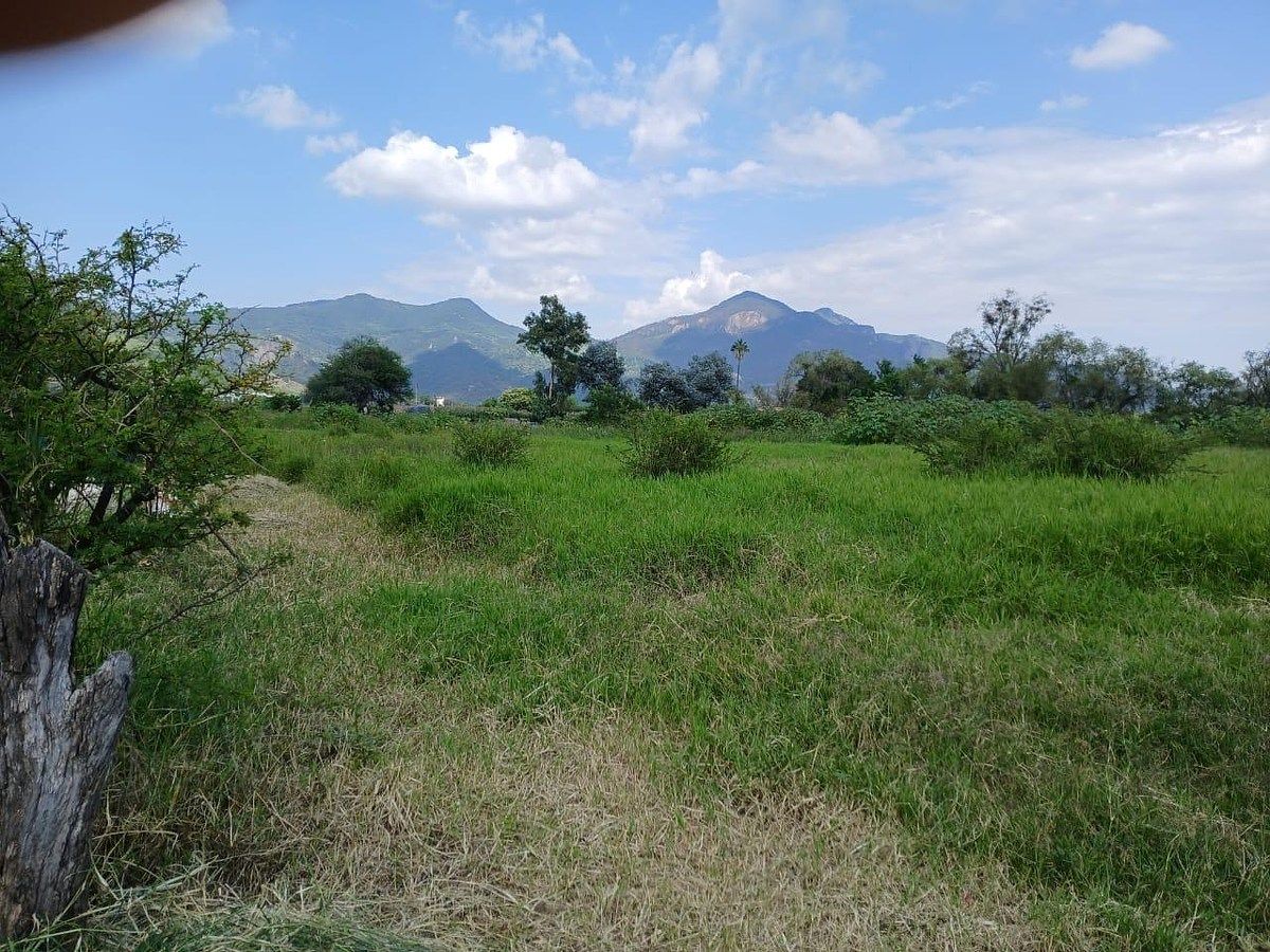 Terreno en Tenamaxtlan, Tenamaxtlán, foto 2 de 14