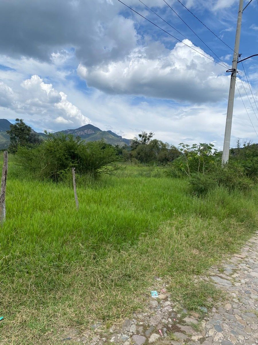 Terreno en Tenamaxtlan, Tenamaxtlán, foto 5 de 14