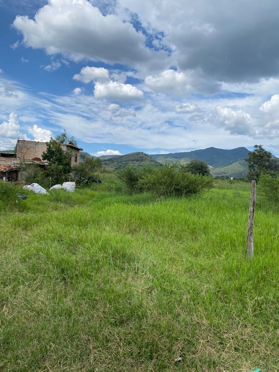 Terreno en Tenamaxtlan, Tenamaxtlán, foto 6 de 14