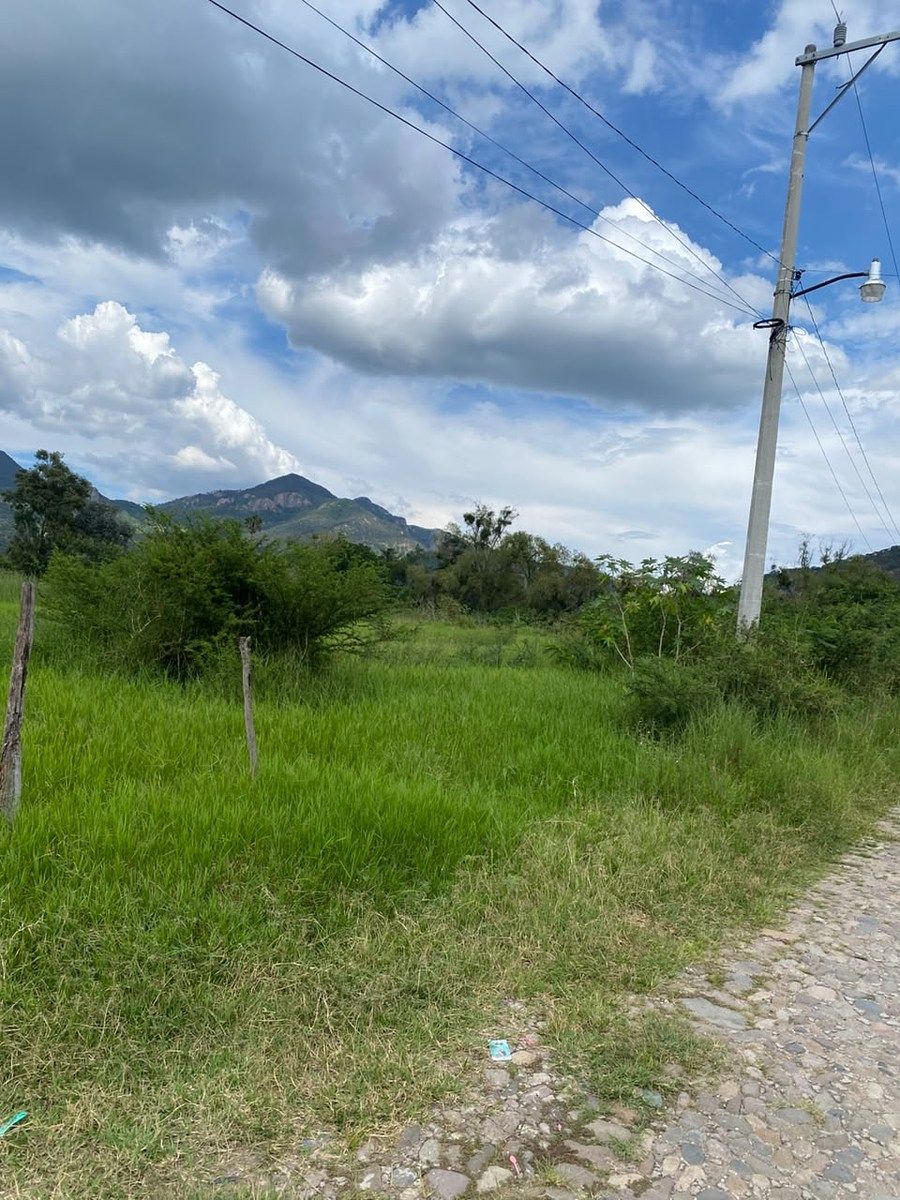 Terreno en Tenamaxtlan, Tenamaxtlán, foto 7 de 14