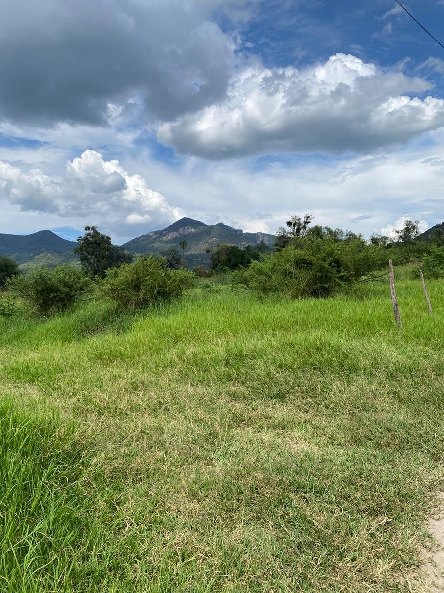 Terreno en Tenamaxtlan, Tenamaxtlán, foto 8 de 14