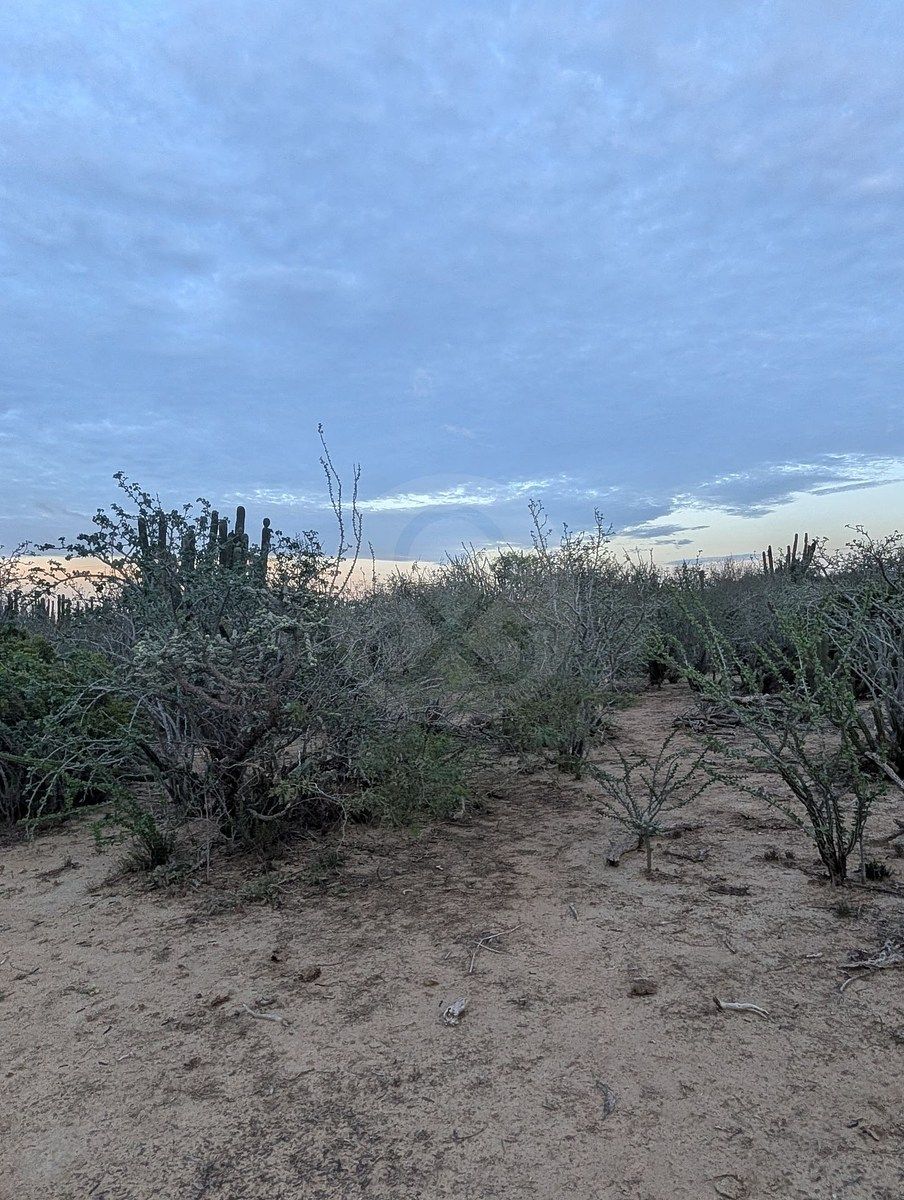 Terreno en La Rivera, Los Cabos, foto 3 de 11