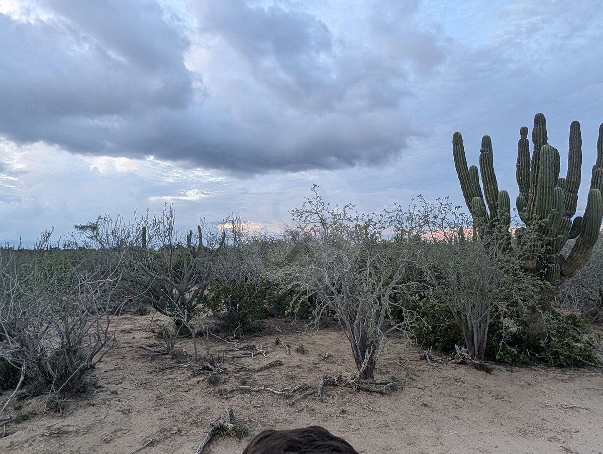 Terreno en La Rivera, Los Cabos, foto 4 de 11