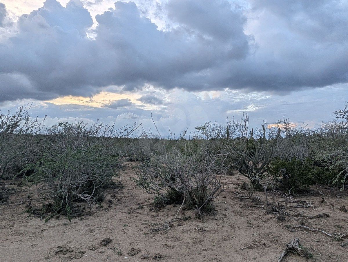 Terreno en La Rivera, Los Cabos, foto 5 de 11
