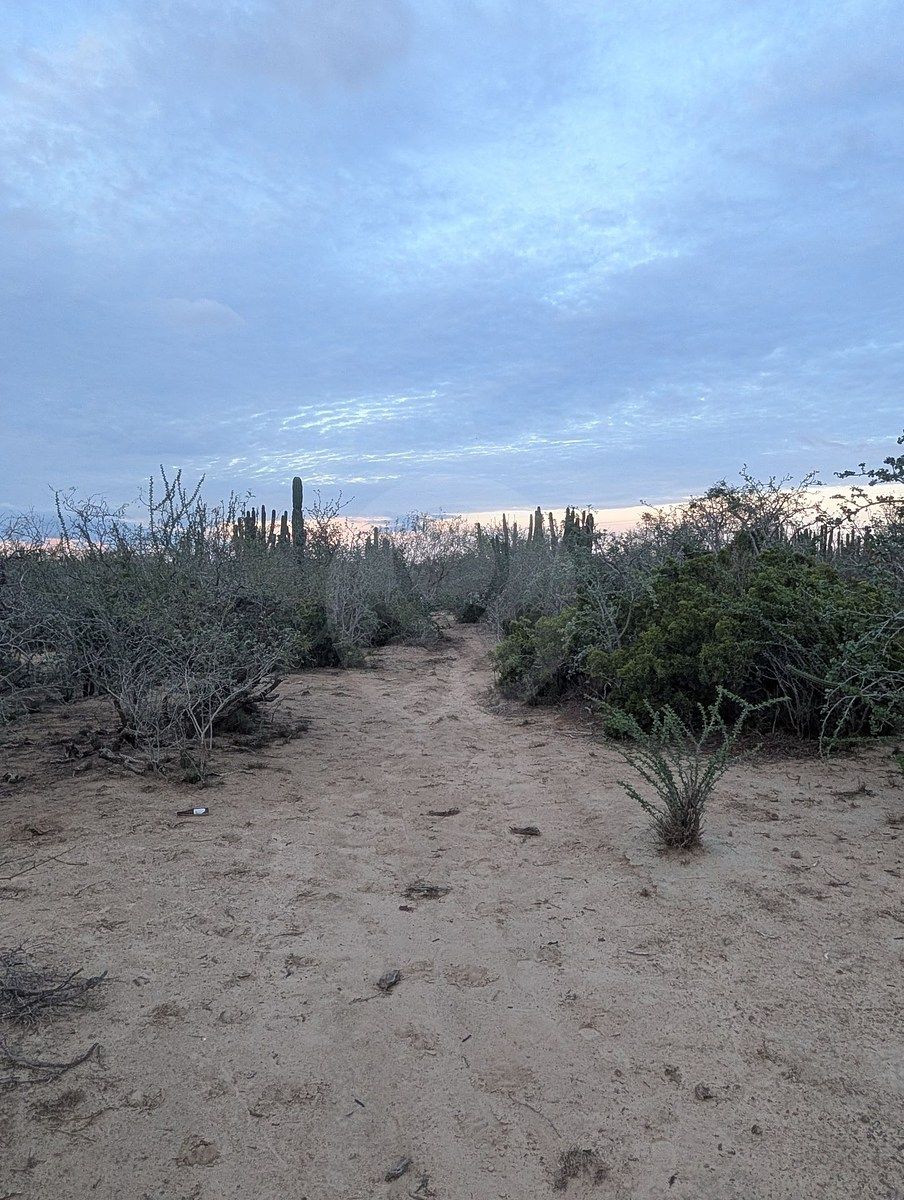 Terreno en La Rivera, Los Cabos, foto 6 de 11