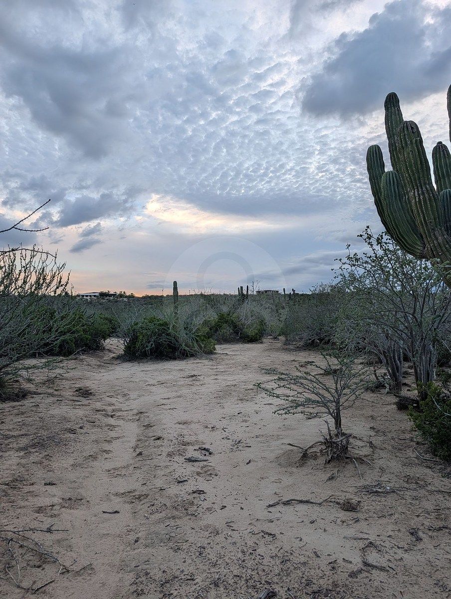 Terreno en La Rivera, Los Cabos, foto 8 de 11