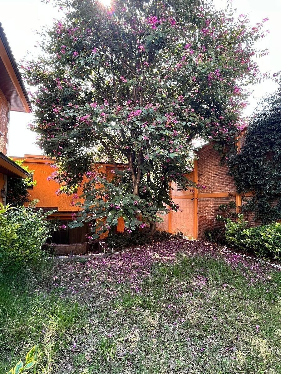 Casa en Ciudad Satélite, Naucalpan de Juárez, foto 47 de 47