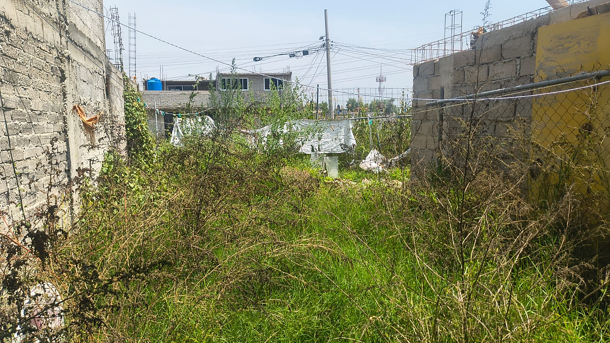 Casa en condominio en Paseos de Chalco, Chalco, foto 12 de 13