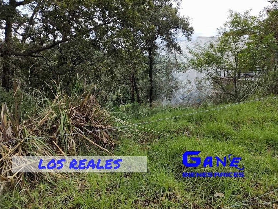 Terreno en Hacienda de Valle Escondido, Atizapán de Zaragoza, foto 7 de 10