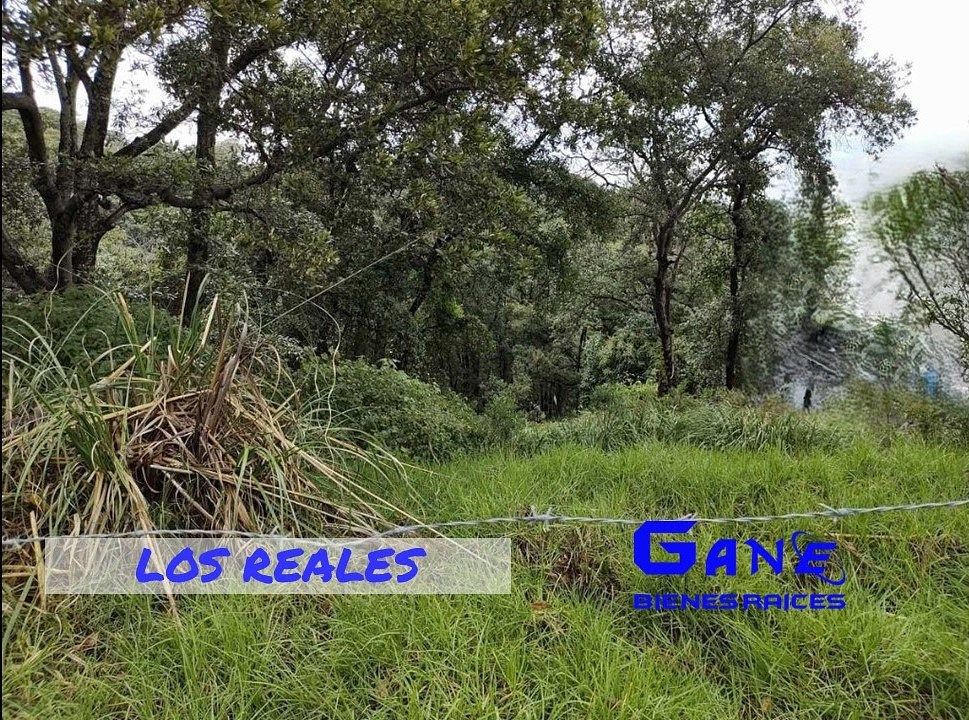 Terreno en Hacienda de Valle Escondido, Atizapán de Zaragoza, foto 8 de 10