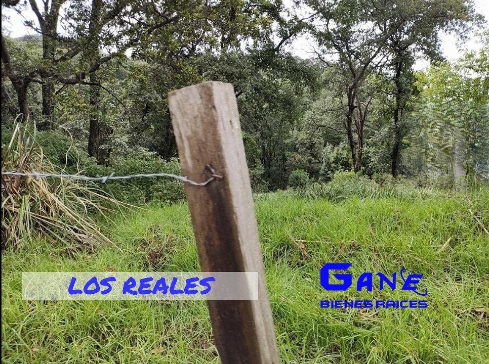 Terreno en Hacienda de Valle Escondido, Atizapán de Zaragoza, foto 9 de 10